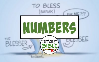 Numbers Overview