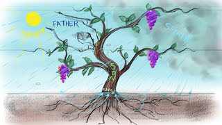 The Vine and the Branches | John 15:1-15