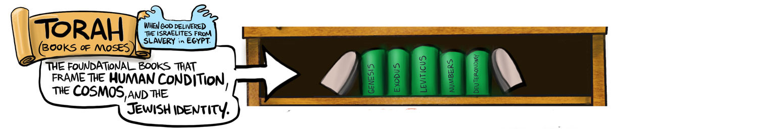 BOOK_Shelf_banner_Torah